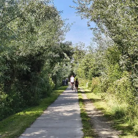 Cetti's - Met Prive Sauna 3*